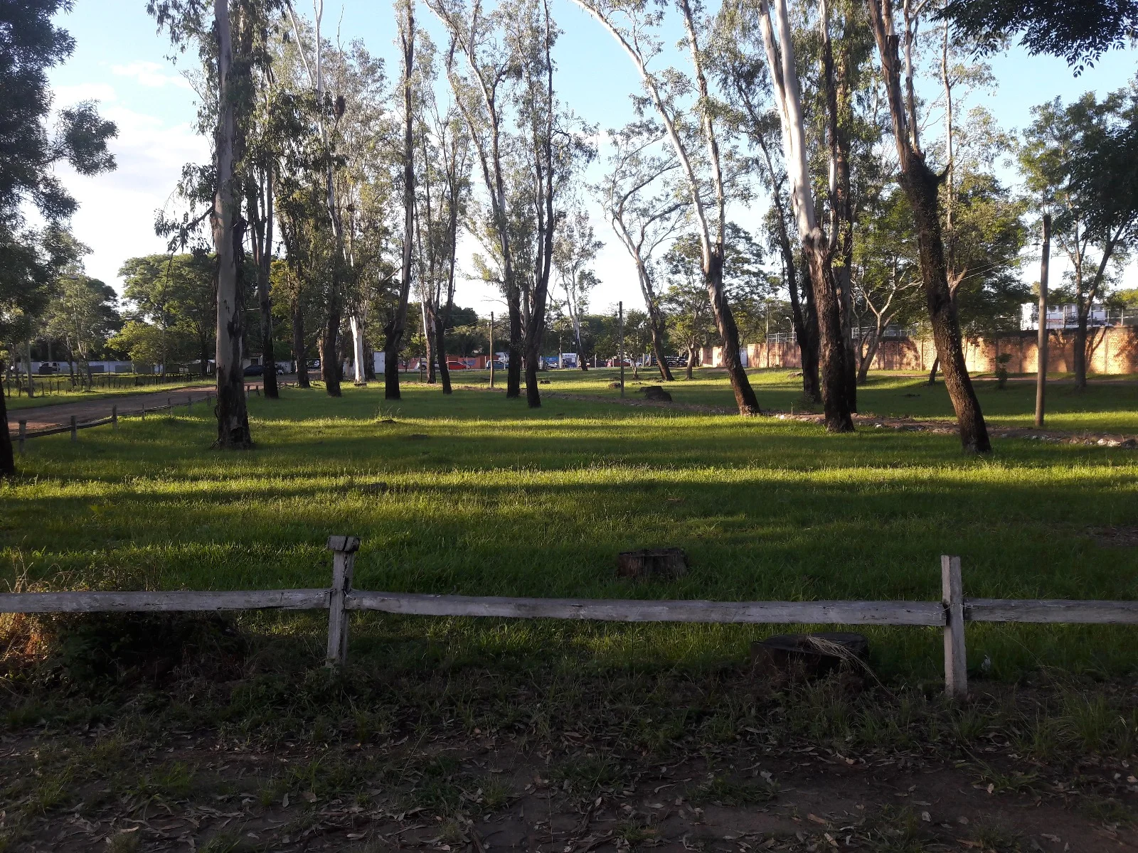 Alameda Três Amigos