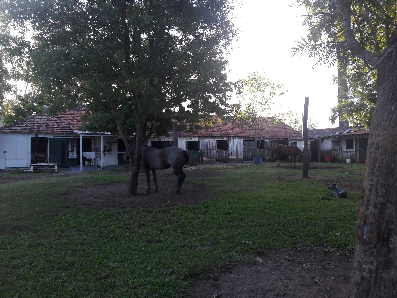 Estrebaria